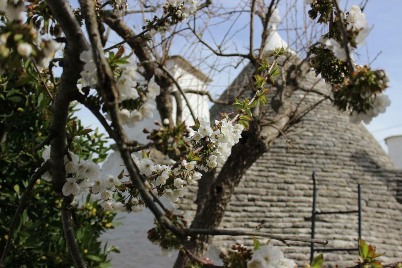 Villa Trullo "Vicolo Fiorito" à Alberobello Extérieur photo